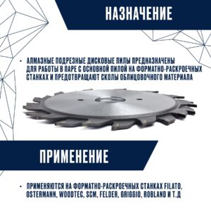 диск пильный алмазная для форматно-раскроечного станка 120х22 z2x12